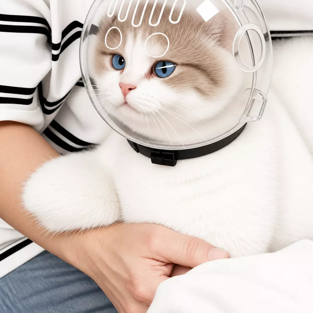 Plastic Recovery Cone for Cats During Grooming and Care