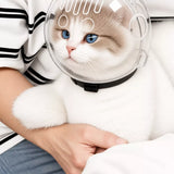 Plastic Recovery Cone for Cats During Grooming and Care