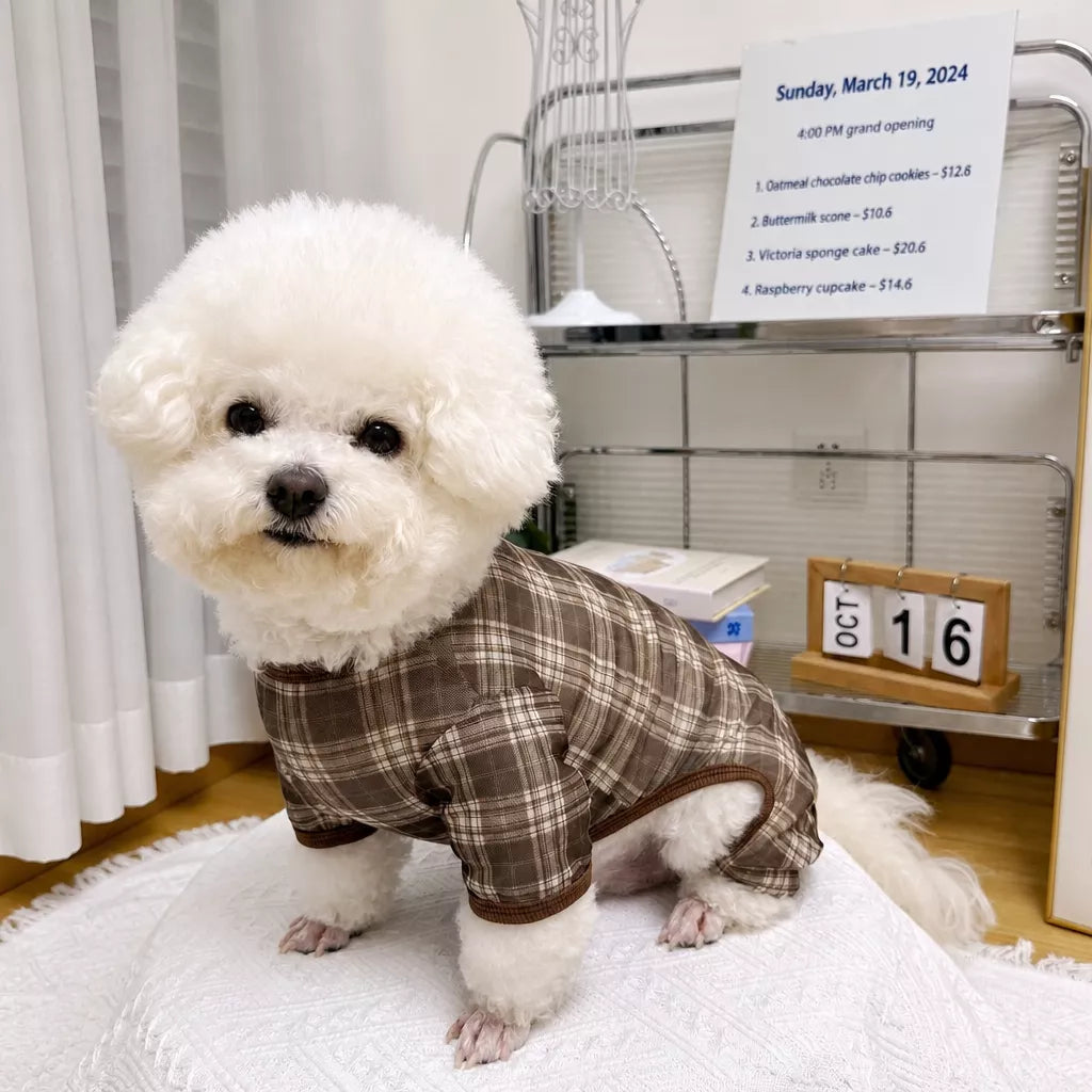 Striped Mesh Four-Leg Summer Shirt for Dogs
