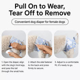 Dog Diapers for Male & Female Dogs