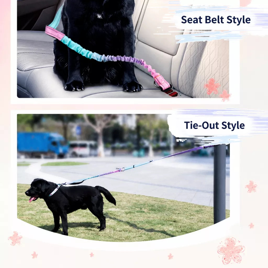Crossbody Elastic Dog Leash