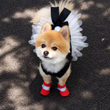 Mesh Dog Shoes with Soft Soles for Everyday Walks