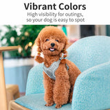 Dog Harness and Leash Set for Small to Medium Dogs
