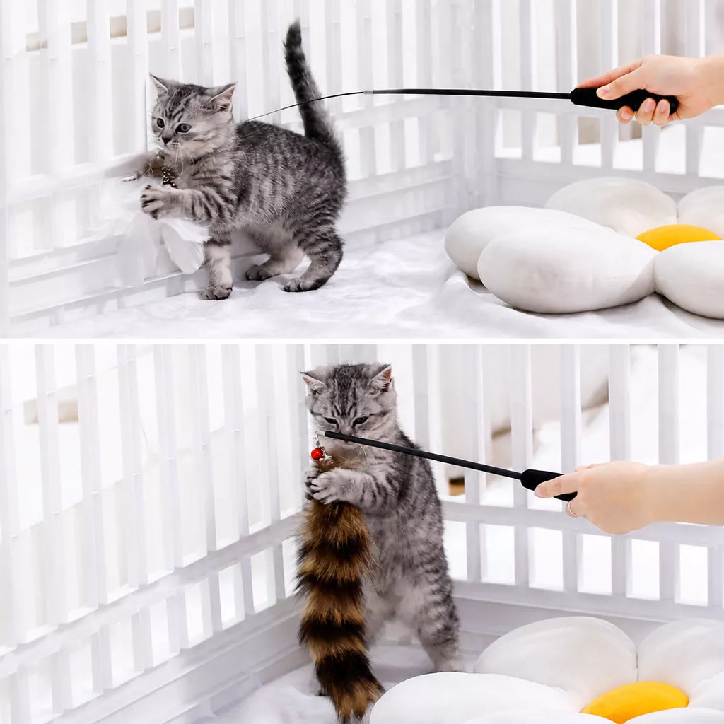 Cat Teaser Wand with Interchangeable Feather Attachments