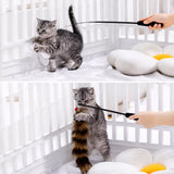 Cat Teaser Wand with Interchangeable Feather Attachments