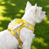 Vest-Style Harness and Leash Set for Small to Medium Dogs