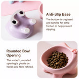 Ceramic Pet Bowl