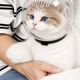 Clear Plastic Pet Recovery Cone for Cats