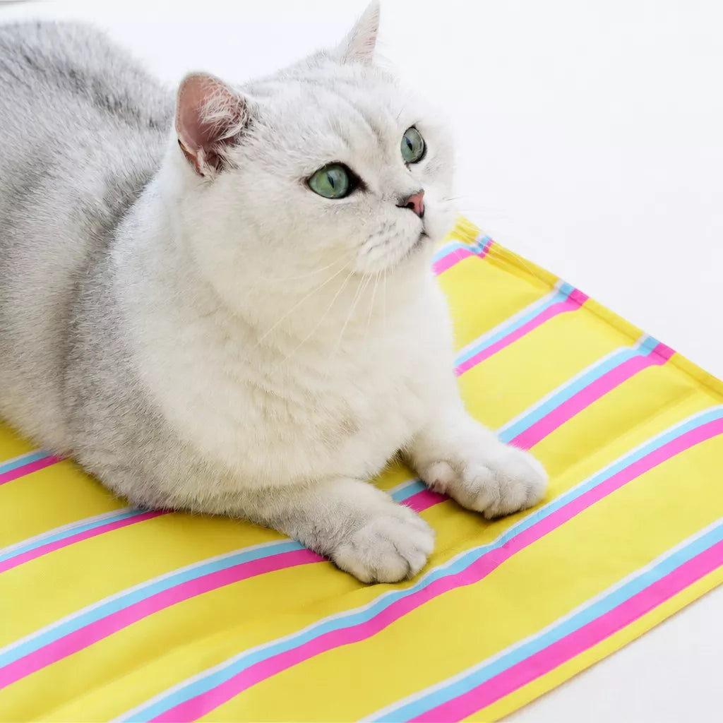 Striped Pet Mat for Dogs and Cats