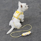 Vest-Style Harness and Leash Set for Small to Medium Dogs
