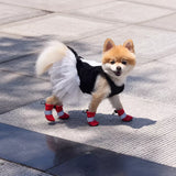 Mesh Dog Shoes with Soft Soles for Everyday Walks