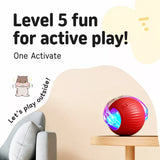Interactive Cat Toy Ball