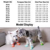 Dog Clog-Style Shoes for Outdoor Walks