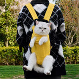 Pet Front Carrier Backpack