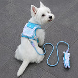 Vest-Style Harness and Leash Set for Small to Medium Dogs