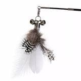 Cat Teaser Wand with Interchangeable Feather Attachments
