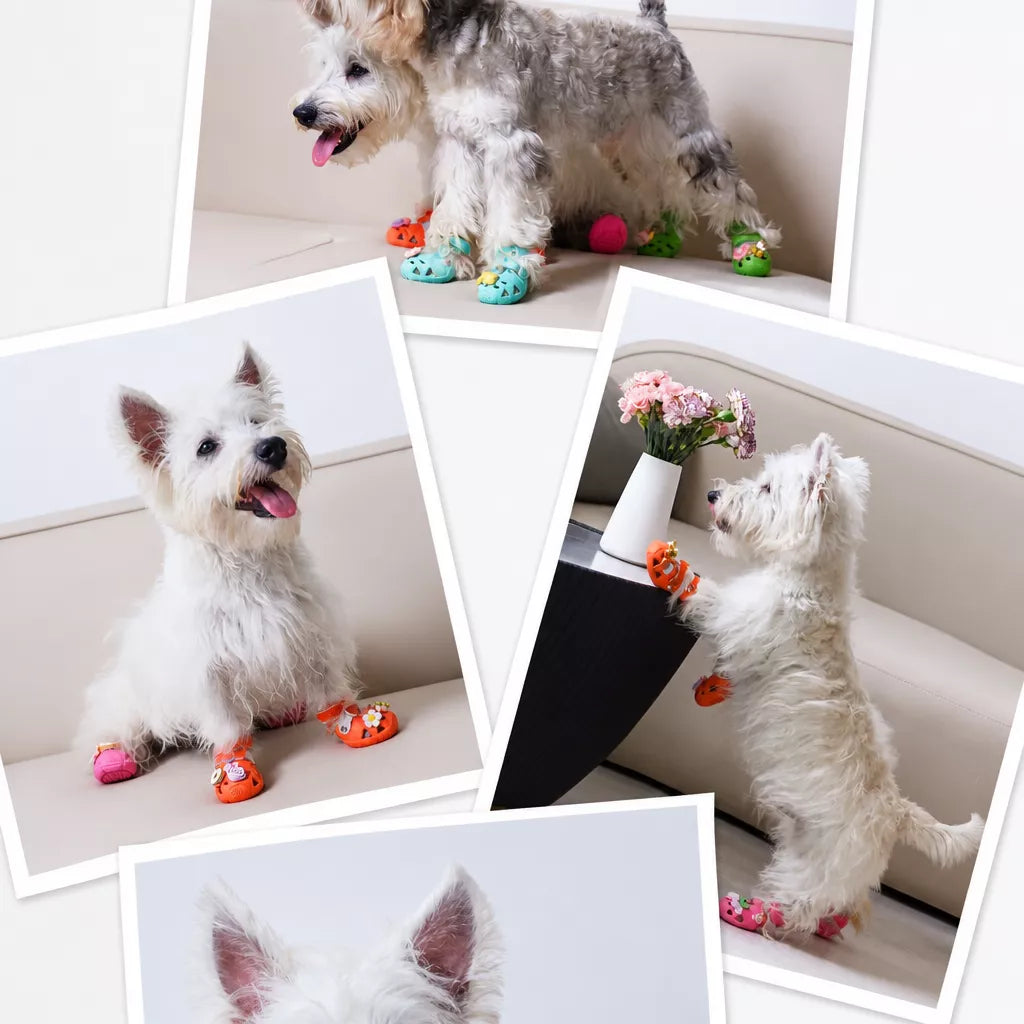 Dog Clog-Style Shoes for Outdoor Walks