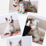 Dog Clog-Style Shoes for Outdoor Walks