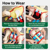 Dog Life Jacket for Swimming and Outdoor Adventures