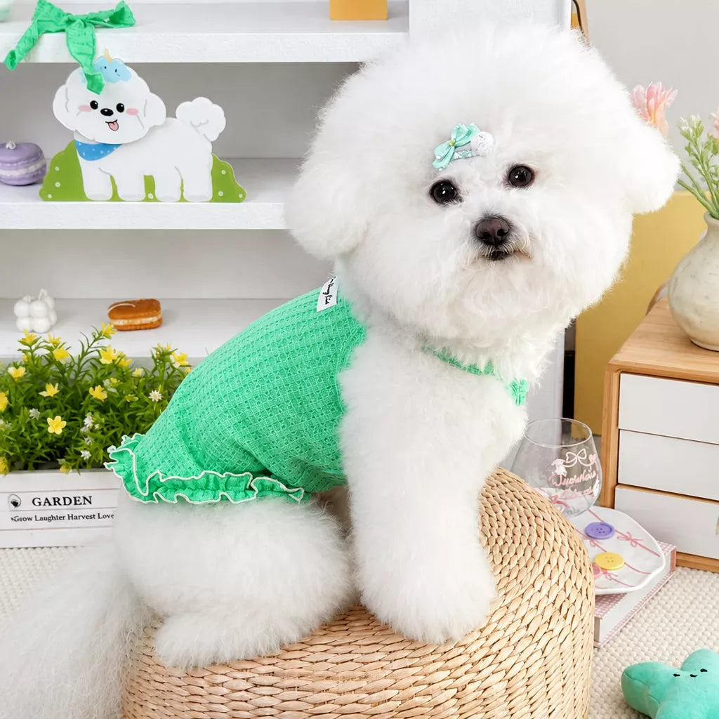 Pet Harness Vest for Small Dogs and Cats
