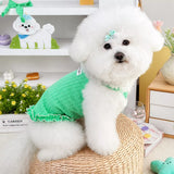 Pet Harness Vest for Small Dogs and Cats