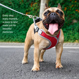 Dog Harness and Leash Set for Small to Medium Dogs