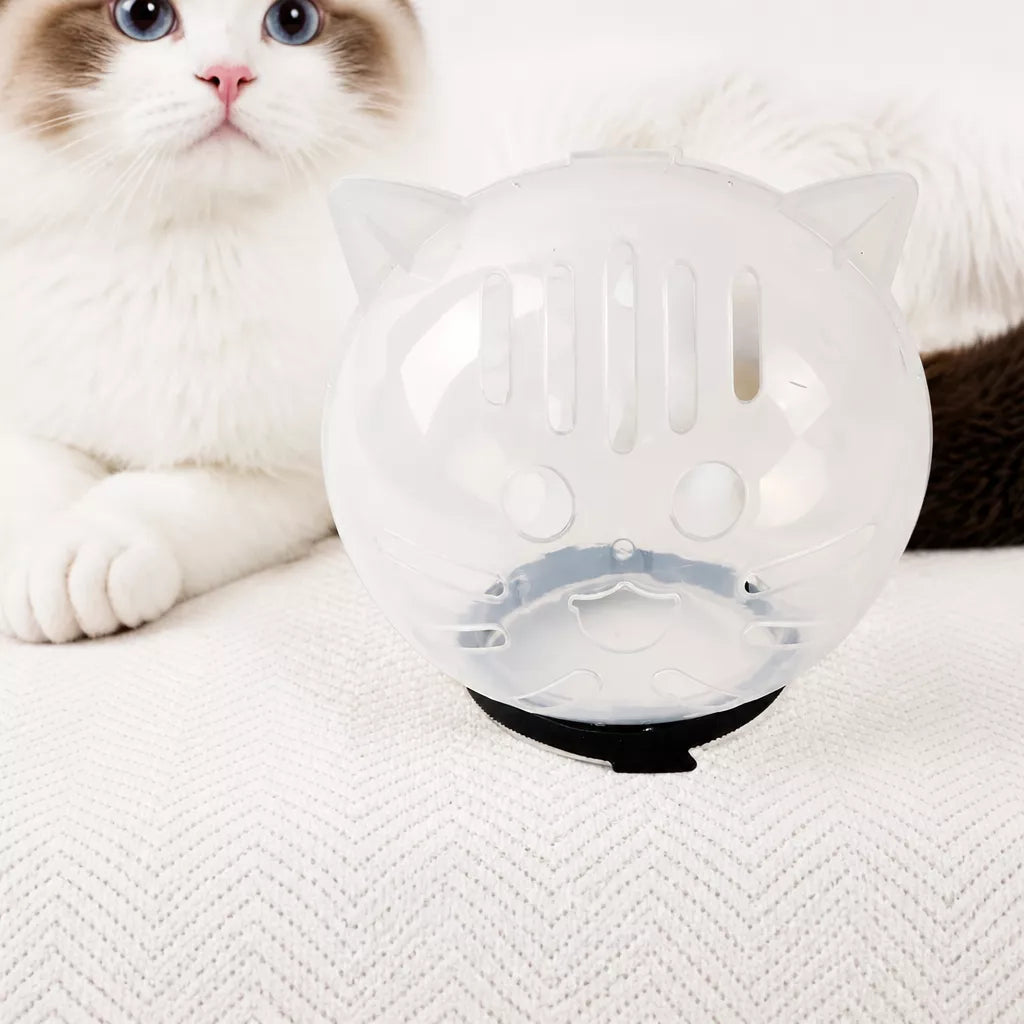 Clear Plastic Pet Recovery Cone for Cats