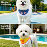 Dog Harness and Leash Set for Small to Medium Dogs