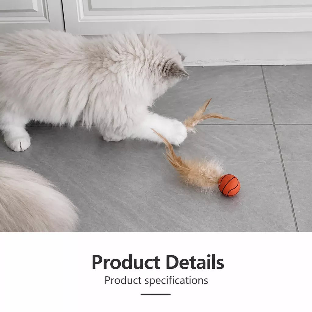 Cat Ball Toy with Feather Details