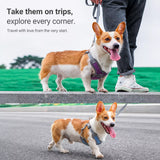 Dog Harness and Leash Set for Small to Medium Dogs
