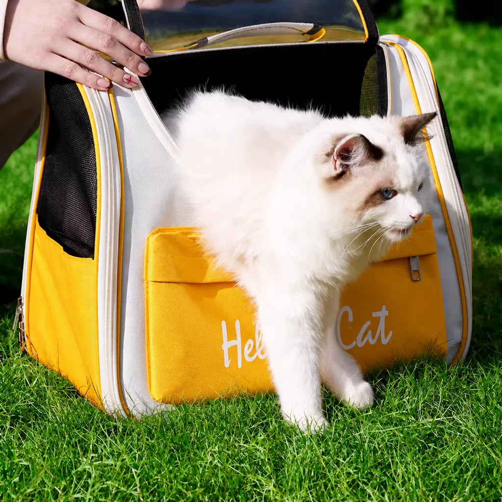 Large-Window Pet Carrier Backpack for Cats and Small Dogs