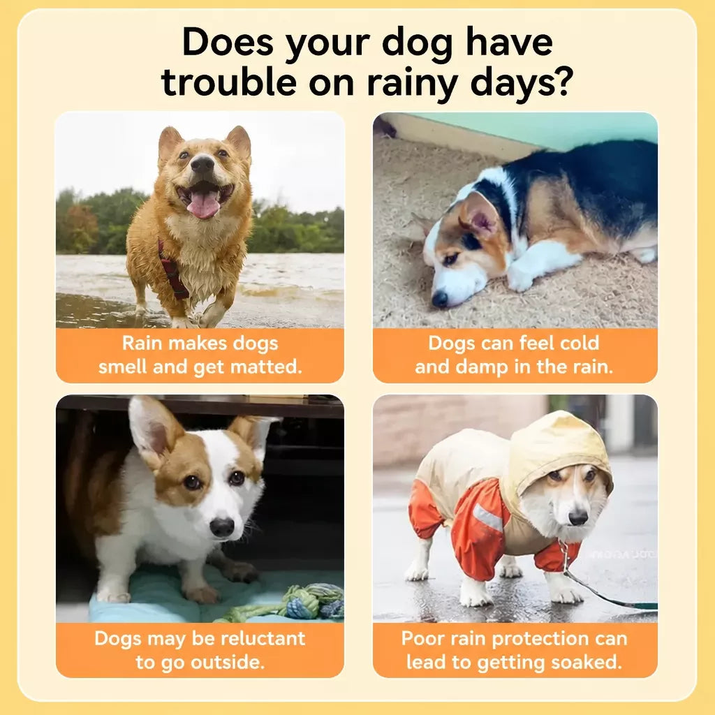 Dog Raincoat with Belly Coverage for Small to Medium Dogs