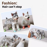 Dog Clog-Style Shoes for Outdoor Walks