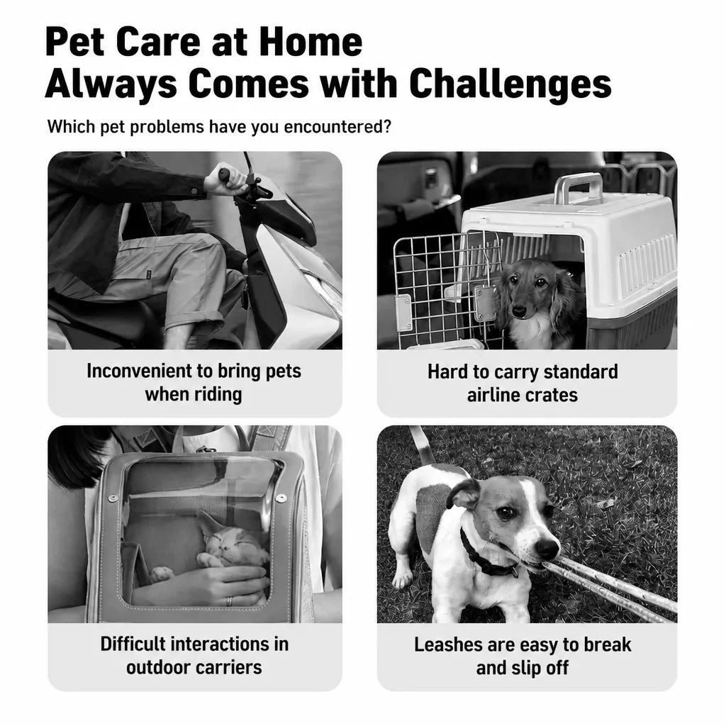 Pet Carrier Backpack for Cats and Dogs, Front or Back Carry