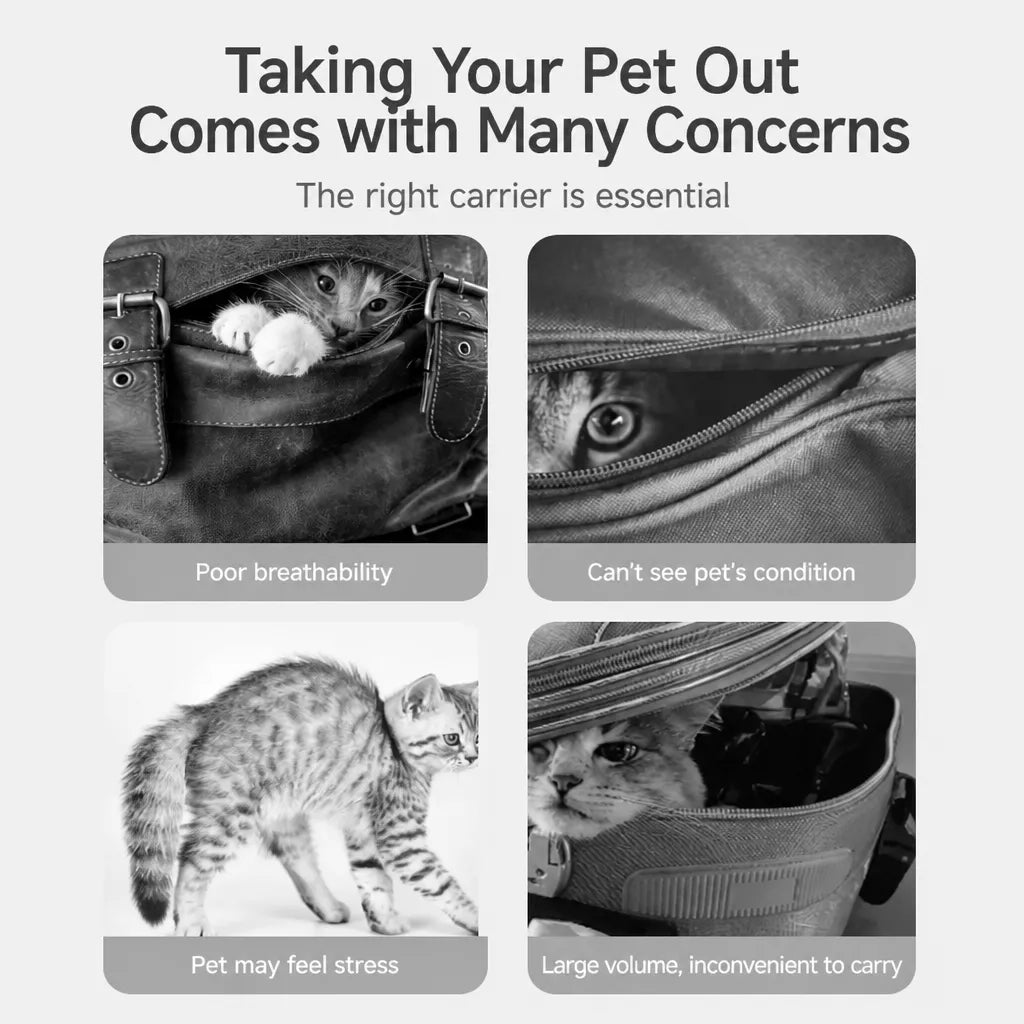 Canvas Pet Carrier Backpack for Cats and Small Dogs