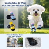 Nylon Dog Boots for Small Dogs – Soft Sole, Stay-On Design