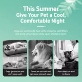 All-Season Pet Bed for Cats and Dogs