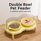Elevated Ceramic Pet Bowl Set with a Double-Bowl Stand