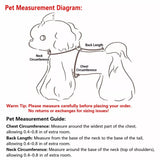 Four-Leg Dog Raincoat