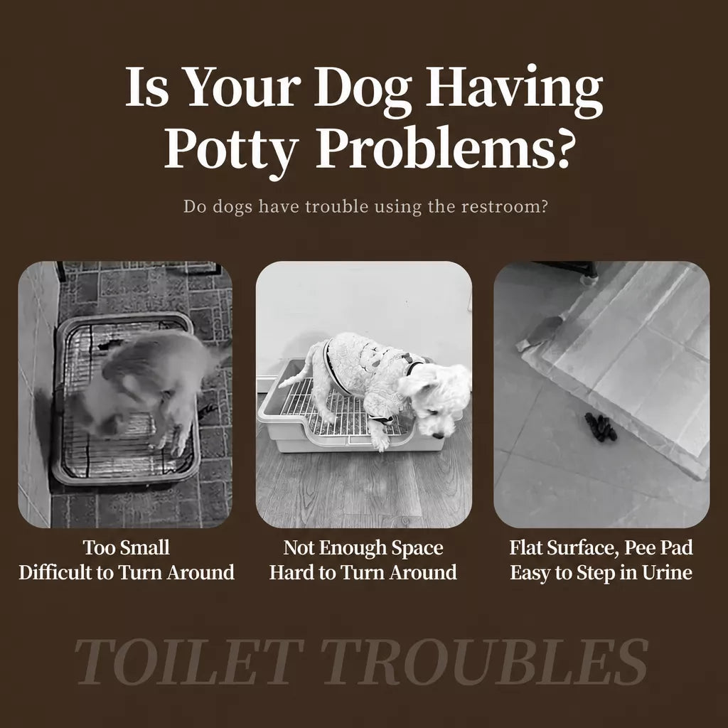 Dog Potty Tray for Puppies and Adult Dogs