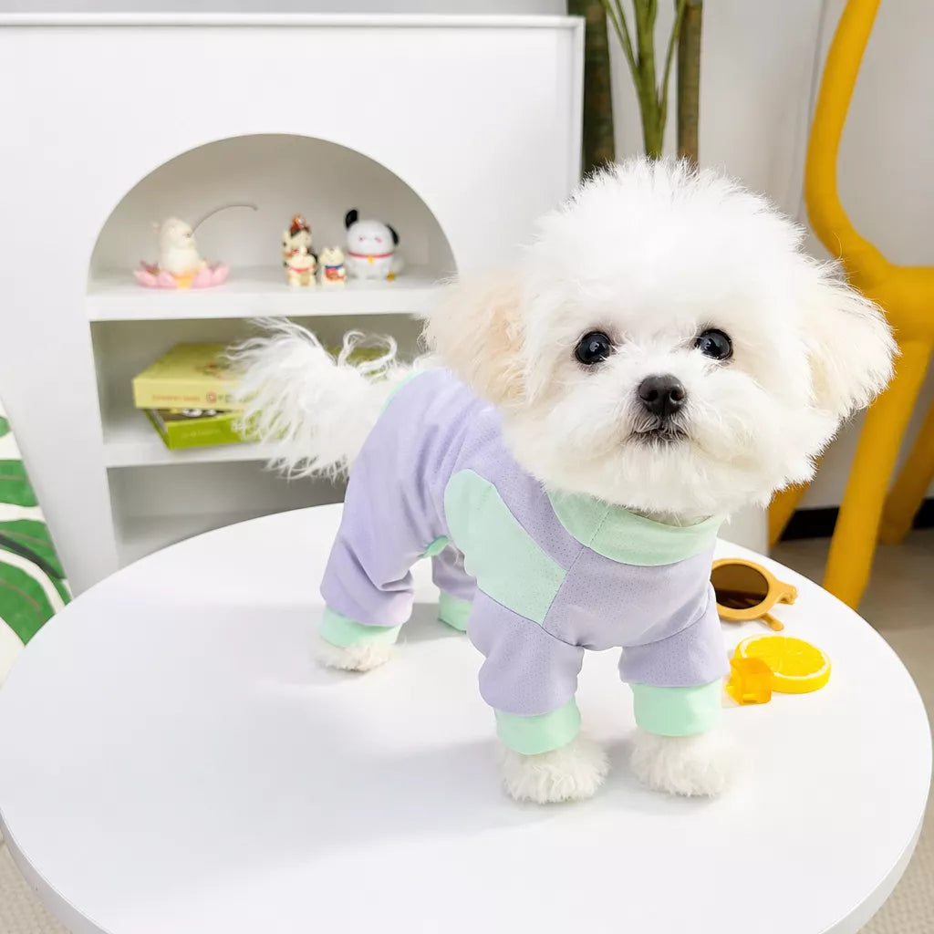 Warm-Weather Four-Legged Mesh Pet Shirt for Dogs and Cats