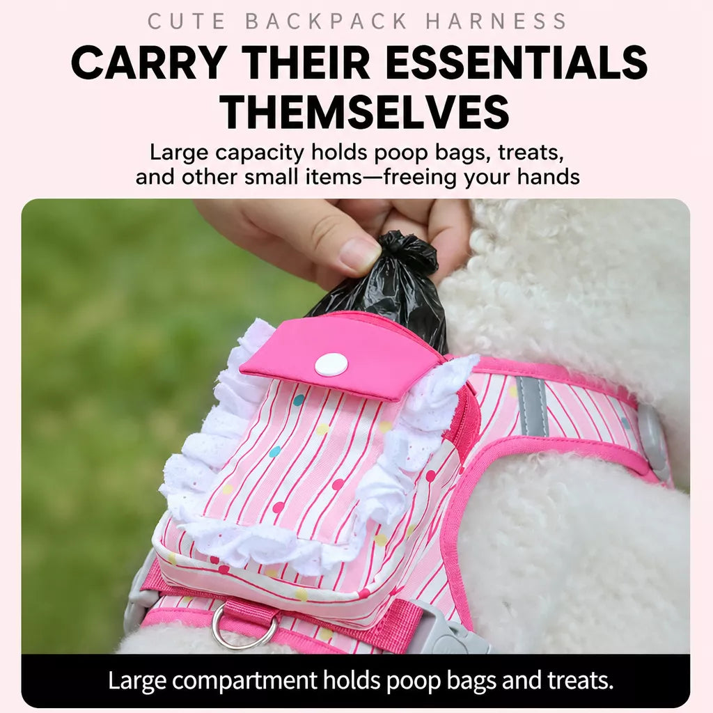 Vest-Style Harness and Leash Set for Small to Medium Dogs