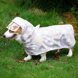 Dog Raincoat for Rainy-Day Walks