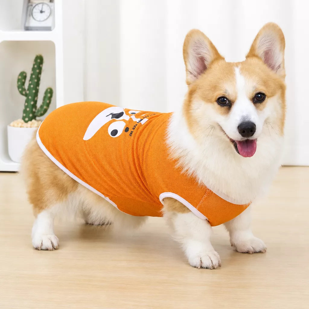 Lightweight Nylon Dog Vest for Everyday Wear