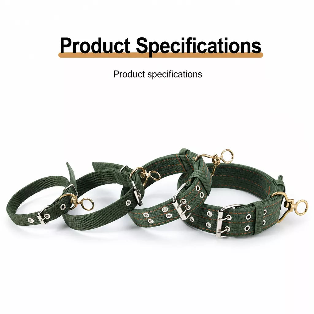 Nylon Dog Collar for Small to Large Dogs