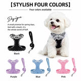 Dog Harness with 6.6-Ft Leash