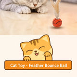 Cat Ball Toy with Feather Details
