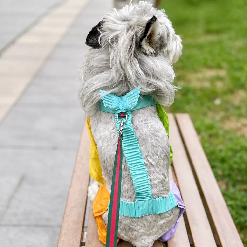 Four-Leg Dog Jumpsuit for Outdoor Wear