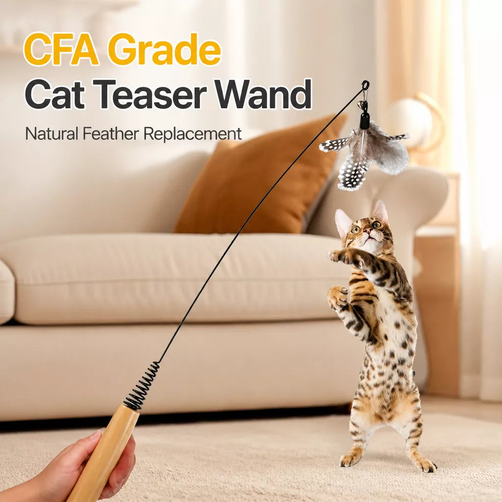 Cat Wand Toy with Feather Replacement Heads