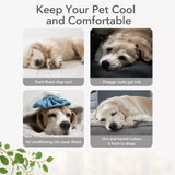 Washable Pet Bed for Dogs with Removable Cover